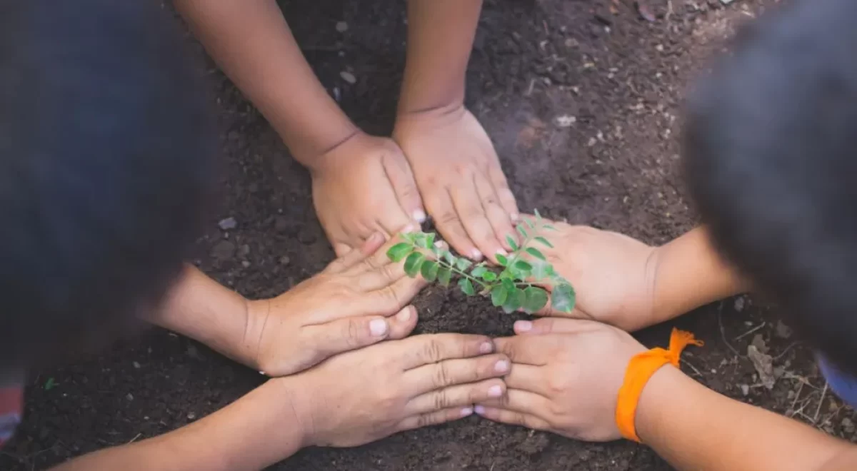educacao-ambiental