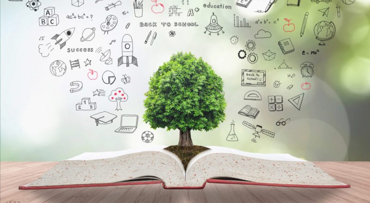 istock-984519666-1024x683